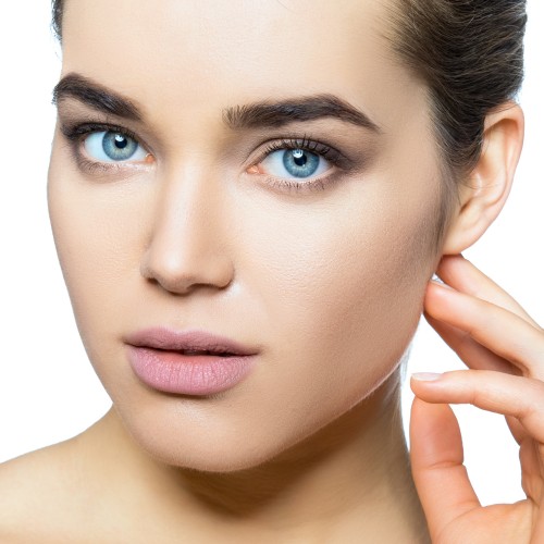 Bold Brows advanced online training