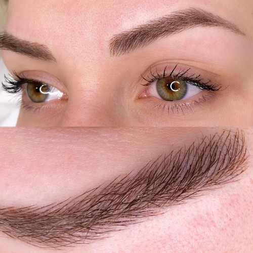 Innate Brows